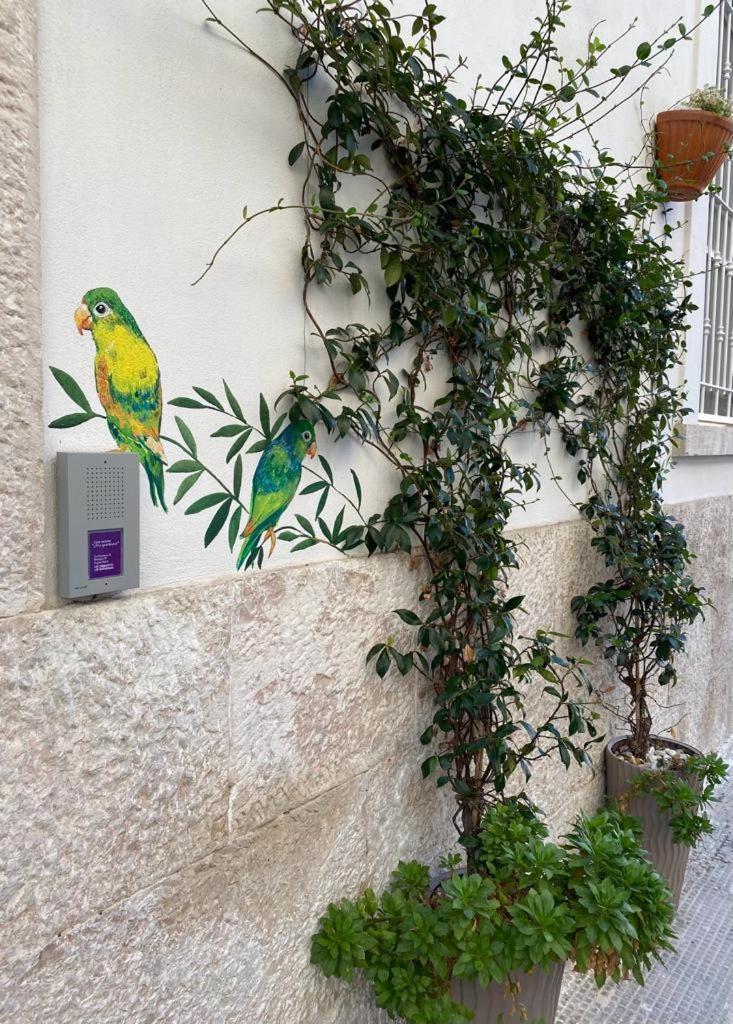 Iris Apartment, Comfort E Stile Nel Cuore Di Bisceglie Eksteriør bilde